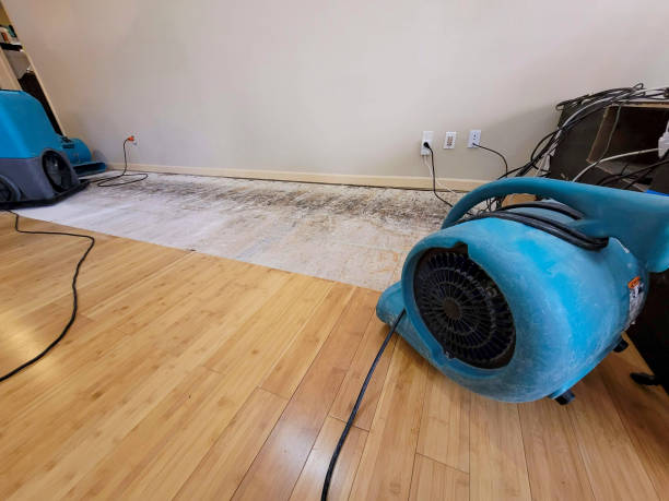 Professional Structural Drying technician working in Elgin, TX